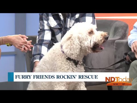 ND Today: Furry Friends – YouTube