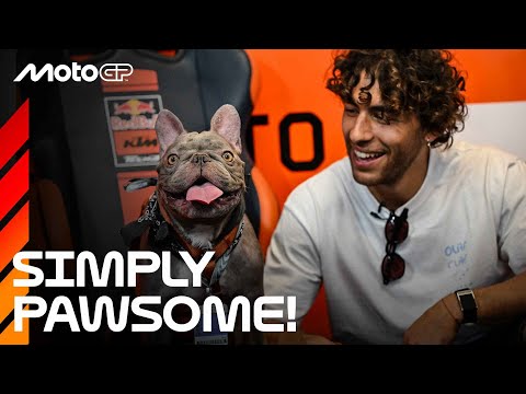 Bring your dogs to work – MotoGP™ Edition! – YouTube