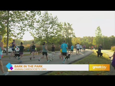 GDL: Stop By Animal Care Society's 'Bark in the Park' – YouTube
