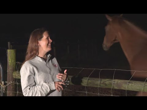 Red Dog Farm Animal Rescue jumps to action post-Helene – YouTube