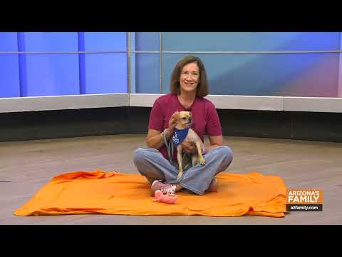 Pets on Parade (Full Episode) September 27, 2025 – YouTube