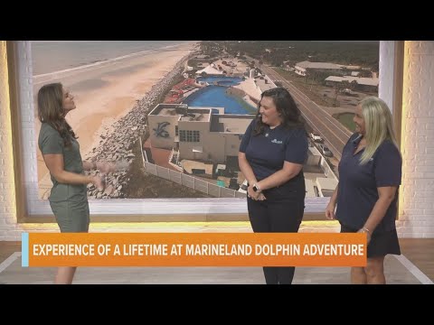Experience of a Lifetime at Marineland Dolphin Adventure – YouTube