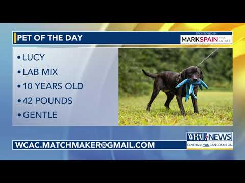 Pet of the Day for Sept. 30, 2025 – YouTube