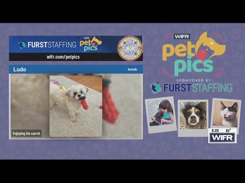 Pet Pics: Ludo, Lizzy and Ruby – YouTube