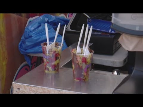 Dog tricks, online craze Dubai chocolate strawberries among activities at Fair – YouTube