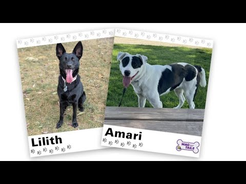 WAGNER TAILS: Lilith and Amari – YouTube