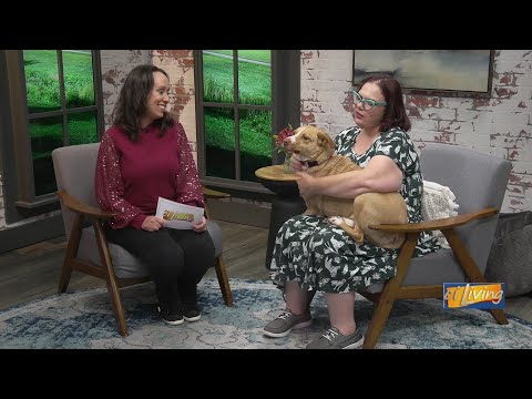 Forever home needed! Meet Harmony from the Hoopeston Animal Rescue! – YouTube