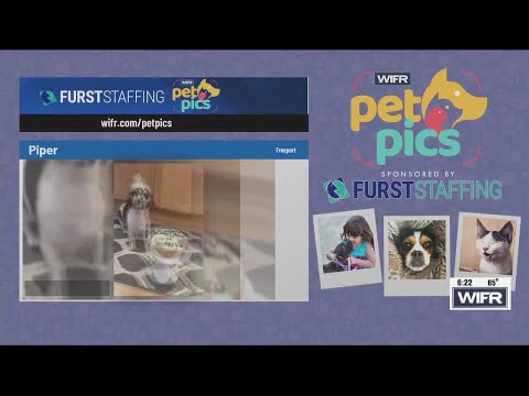 Pet Pics: Suvi, Piper and Hazel, Basil and Pepper – YouTube