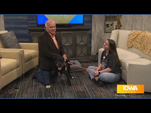 "He surely is electric!" Energetic Sparky is available for adoption at the ARL – YouTube