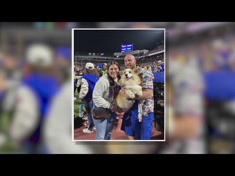 Henry the dog update – YouTube