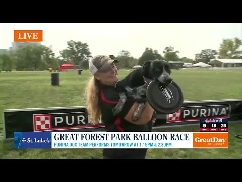 Purina Dog Team at The Great Forest Park Balloon Race – YouTube
