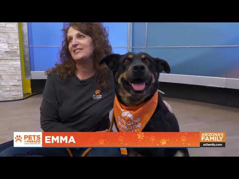 Pets on Parade (Full Episode) September 20, 2025 – YouTube