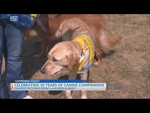 DogFest to mark 50 years of Canine Companions – YouTube