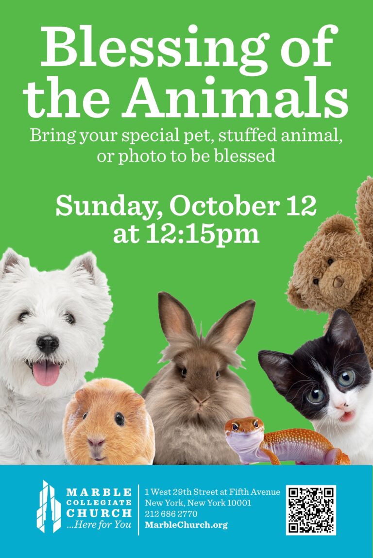 Peacocks to Poodles: Marble Collegiate Church's Annual Blessing of the Animals – Patch