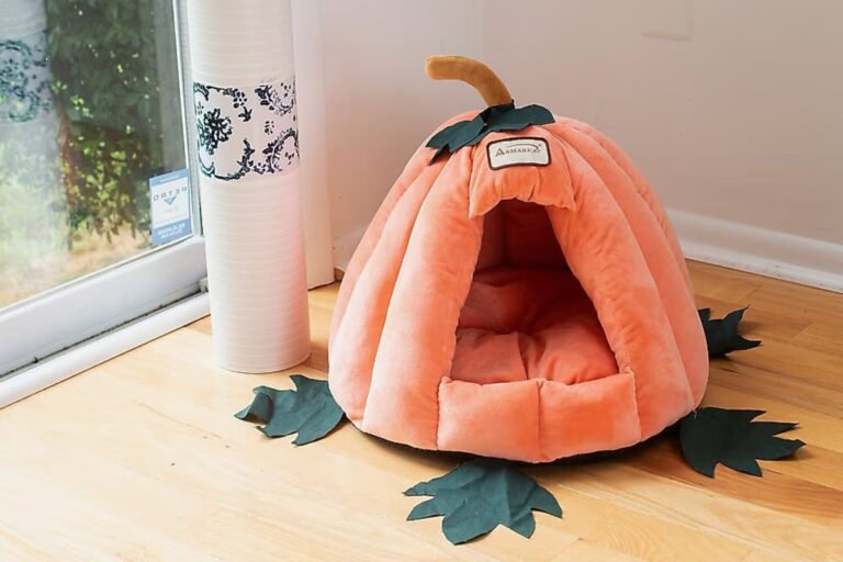 So cute! This cat bed is a must-have for fall and Halloween – TAG24
