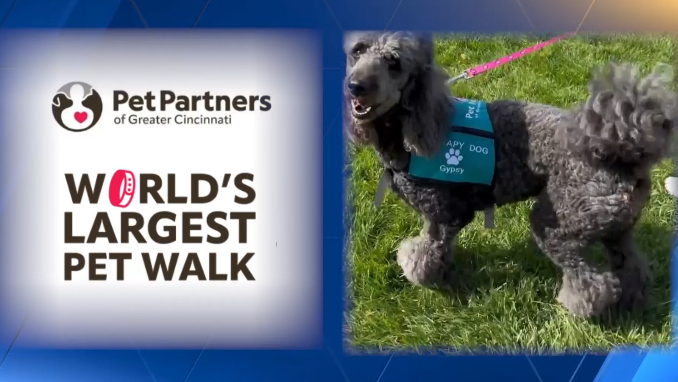 Pet owners can take part in 'World's Largest Pet Walk' in Greater Cincinnati – WLWT