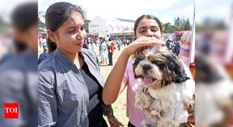 Massive crowd throngs Dasara pet show in Mys | Mysuru News – The Times of India