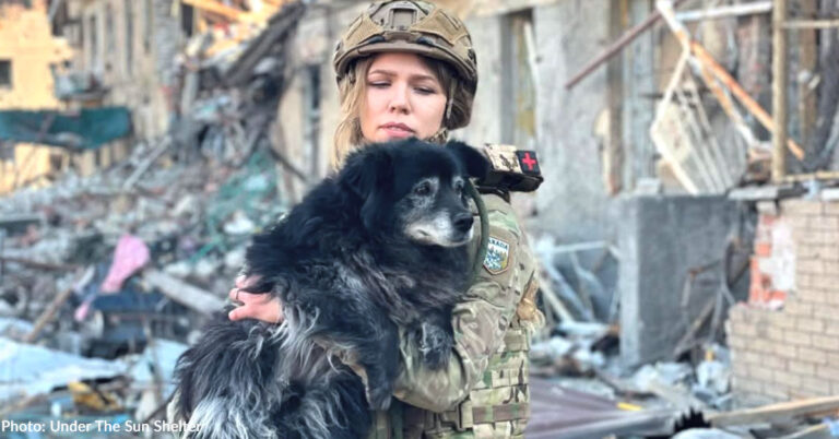 Courageous Woman Devotes Her Life to Saving Animals from Frontlines in Ukraine