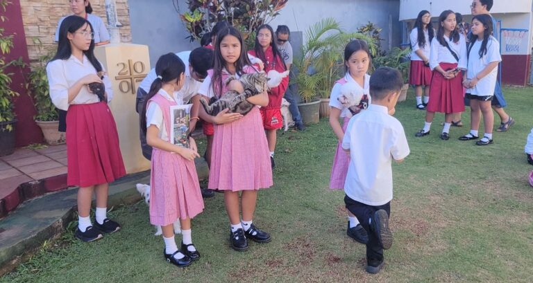 Dogs, cats, chickens and turtle blessed at Santa Barbara Catholic School – KUAM News