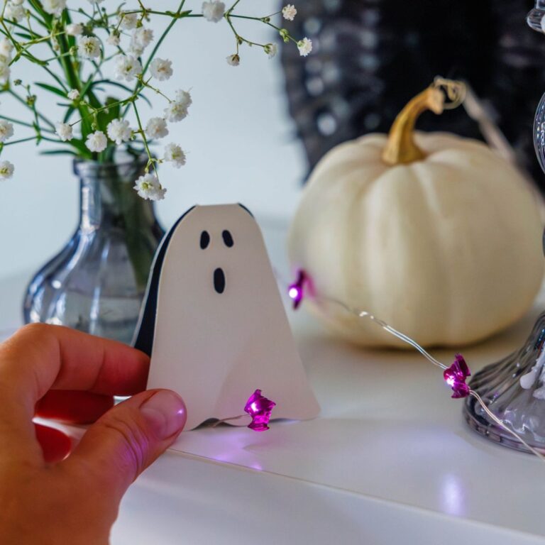Cute Halloween Home Decor, Chic Spooky Jewelry, Pet Costumes & More – E! News