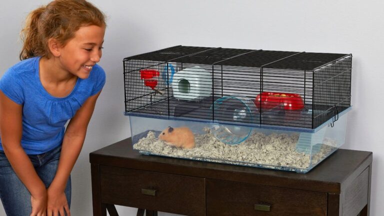 This cute hamster cage with accessories is 50% off at Walmart's holiday sale – USA Today