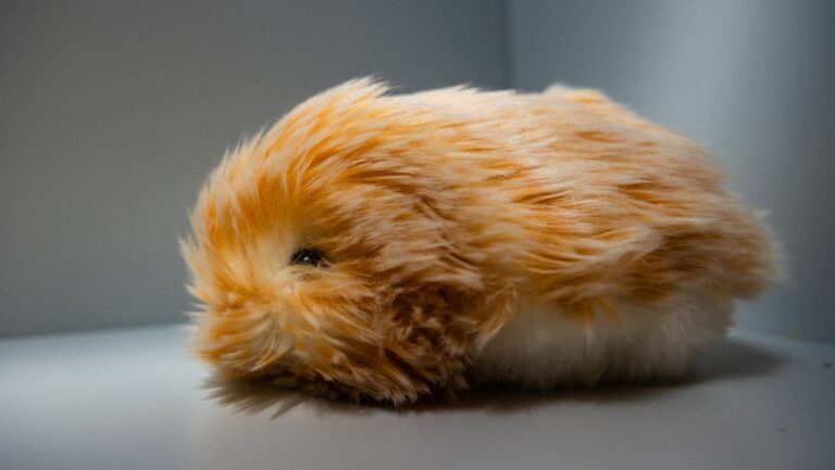 My AI Pet Didn't Kill Me. But He's Definitely a Sign of Our Bleak Reality – Rolling Stone