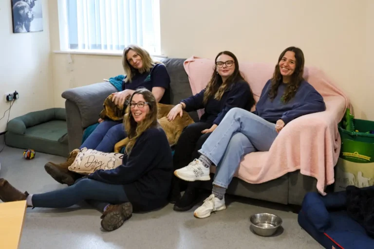 Somerset sanctuary staff sleeping 'ruff' to raise vital funds