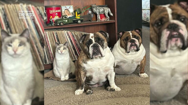 Pet Pics: Thick as thieves – KTVZ