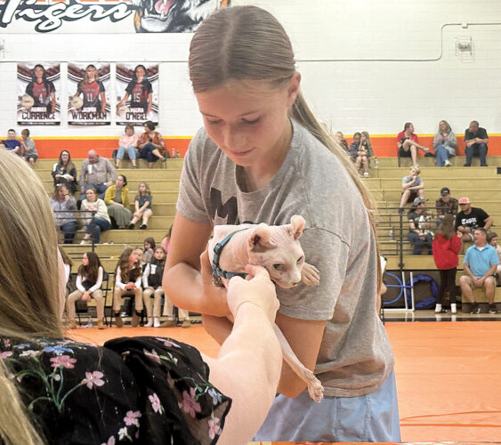 Pet Show displays furry friends | News, Sports, Jobs – The Intermountain