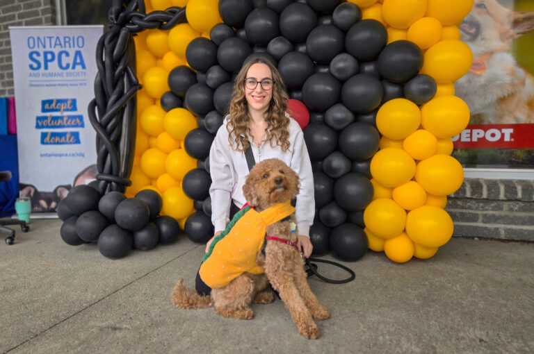 Spooky Pet Photos Raise Funds – Cornwall Seaway News