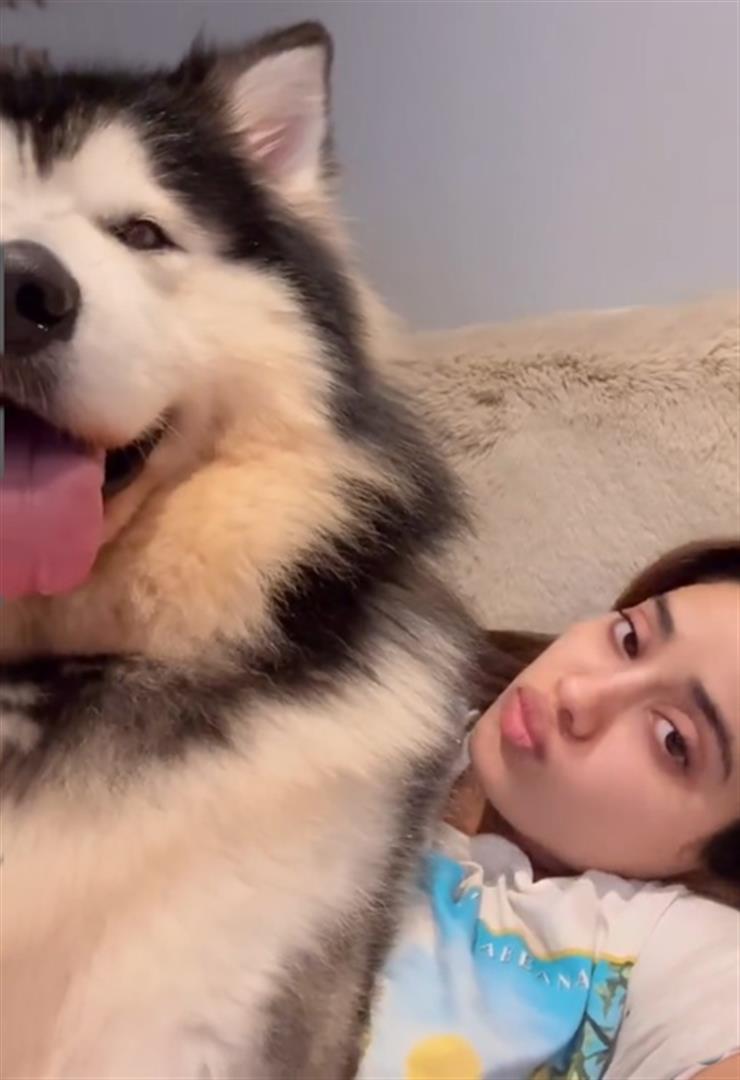 Janhvi Kapoor plays with her pet husky, shares a cute and funny video