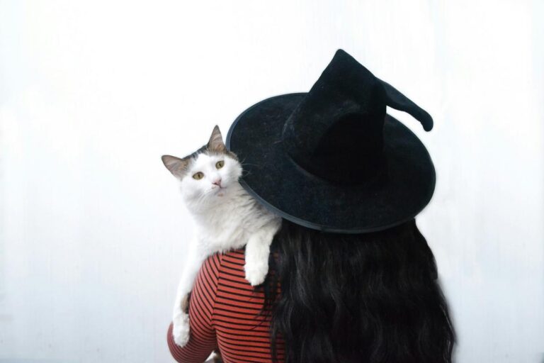 Halloween Safety Tips for Pets and Wildlife – WIBX 950