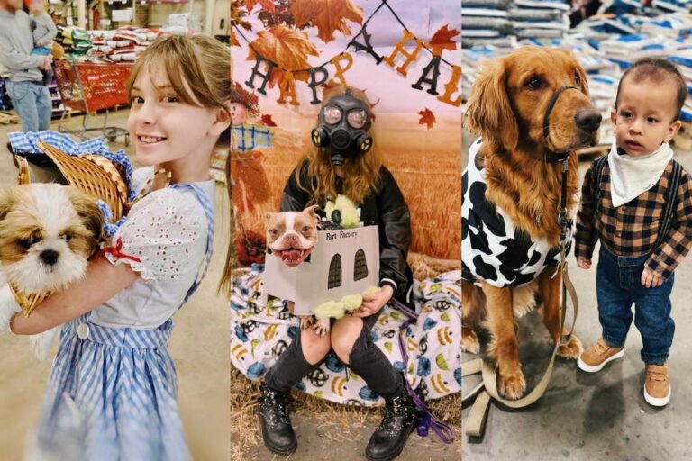 Check Out Adorable Dogs in Halloween Costumes From Dog-O-Ween 2025 – 98.1 KHAK