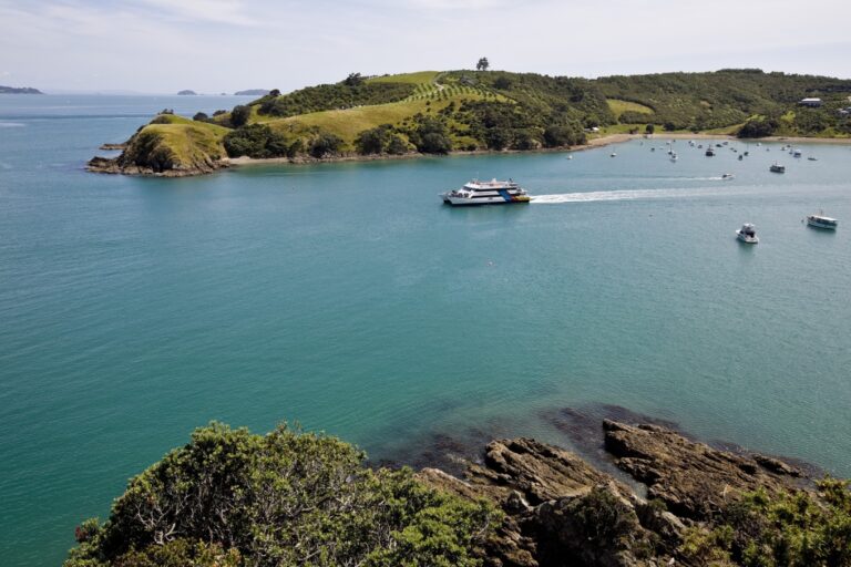 From rubbish to rodents: five things you can do to help protect the Hauraki Gulf this summer