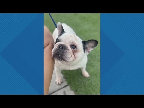 Sammy's Stars: Oct. 7, 2025 – YouTube