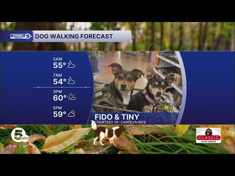 Dynamic duo dog walking forecast! – YouTube