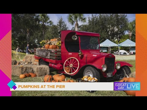 Pumpkins at the Pier – YouTube