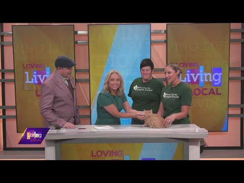Paws for a Cause | Henry County Humane Society – YouTube