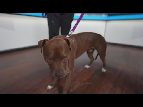Sammy's Stars: Oct. 9, 2025 – YouTube