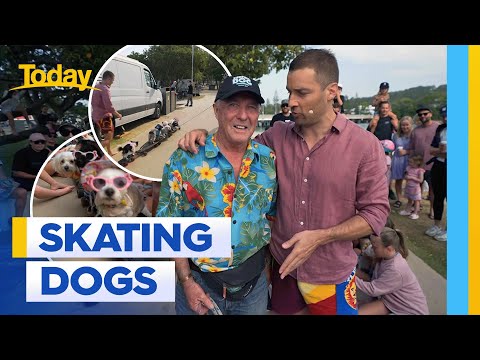 Gold Coast man teaching his dogs to skate and surf | Today Show Australia – YouTube