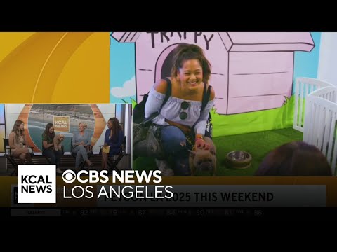 PetCon LA 2025 heading to Annenberg PetSpace over weekend – YouTube