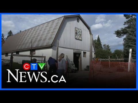 Special project underway at Ralphy's Retreat Animal Sanctuary – YouTube
