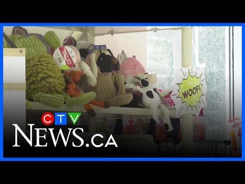 Charity providing Thanksgiving hampers for pets – YouTube