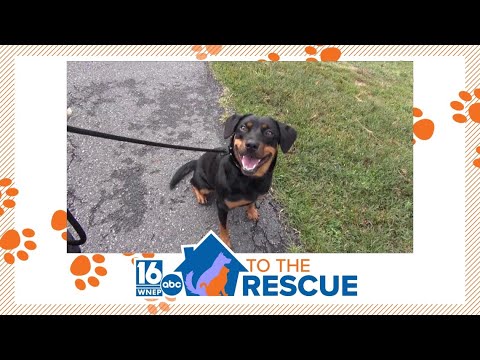 16 To The Rescue: Chiquita – YouTube