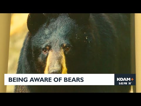Being aware of bears – YouTube