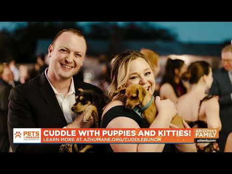 Pets on Parade (Full Episode) October 11, 2025 – YouTube