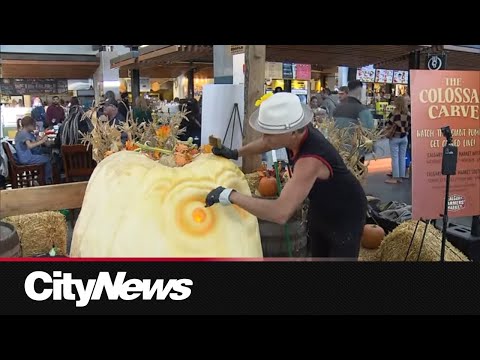 800 lb pumpkin turned into work-of-art at Calgary Farmers Market – YouTube