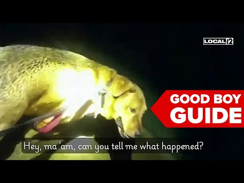 'You're a good boy': Dog leads deputy to injured elderly woman – YouTube