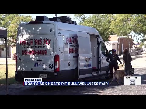 Noah's Ark Animal Clinic hosts Pitbull Wellness Fair – YouTube