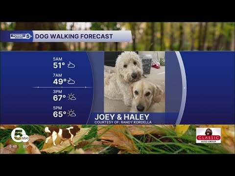 Columbus Day Dog Walking Forecast – YouTube